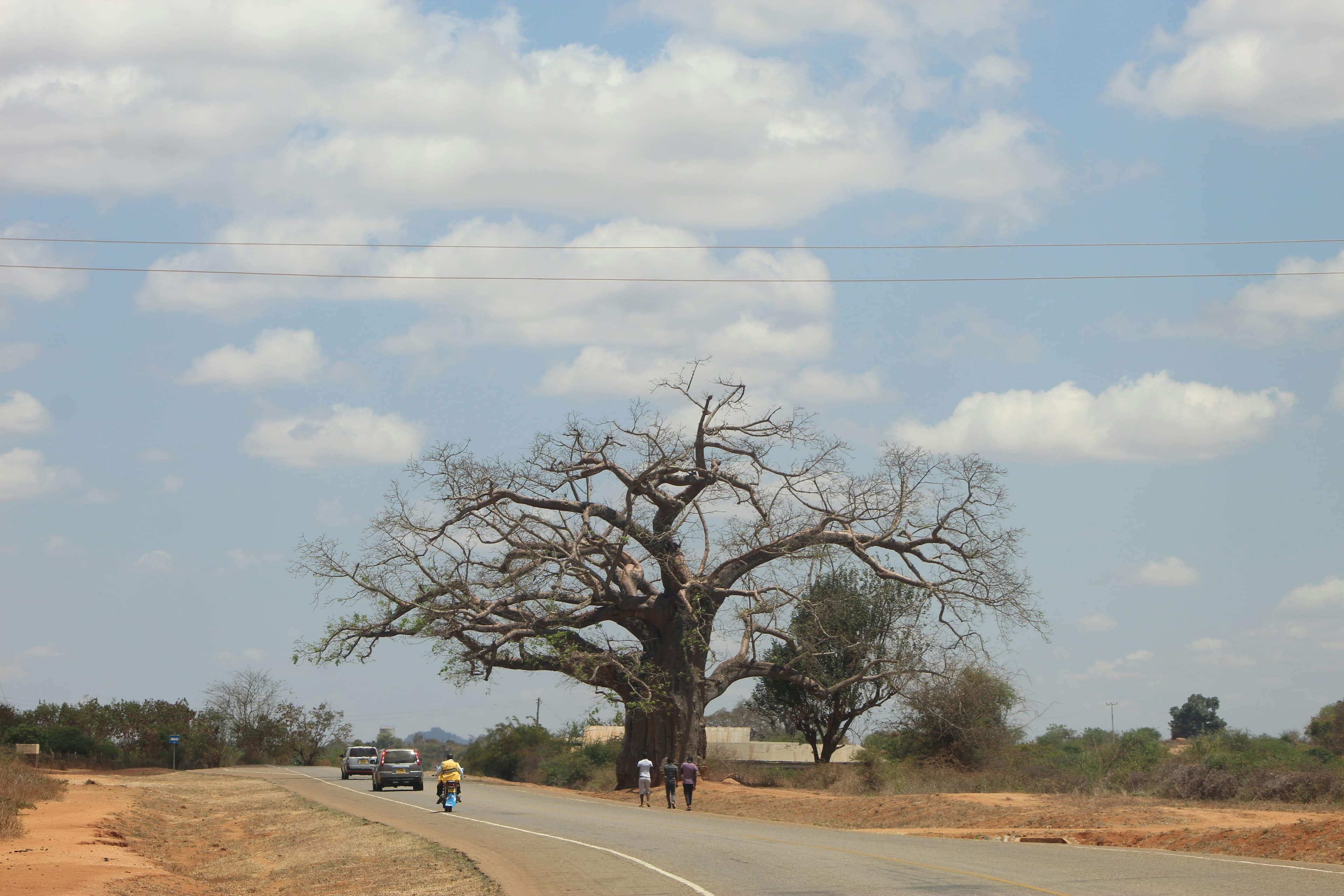 Äquatorlinie in Uganda