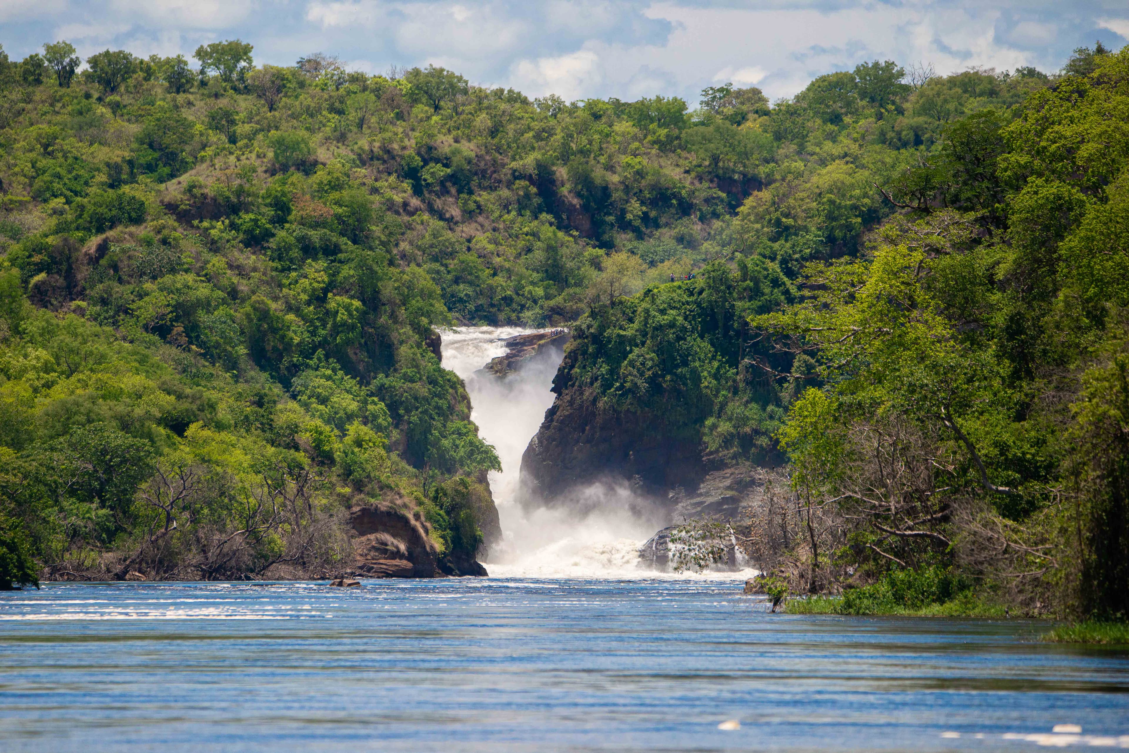 Bungee-Springen in Jinja