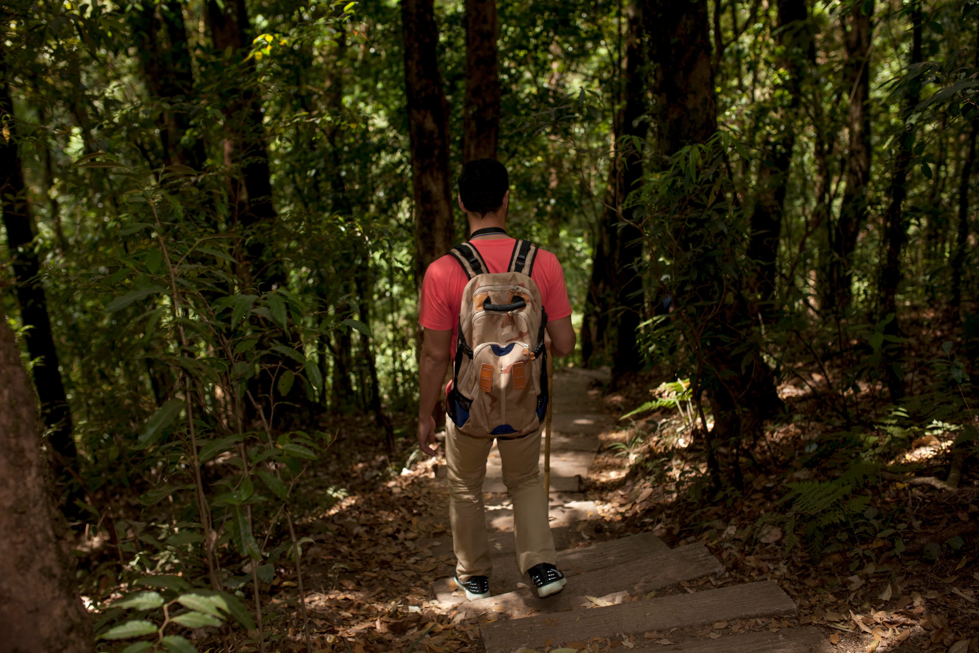 Gorilla-Trekking im Bwindi Impenetrable Nationalpark