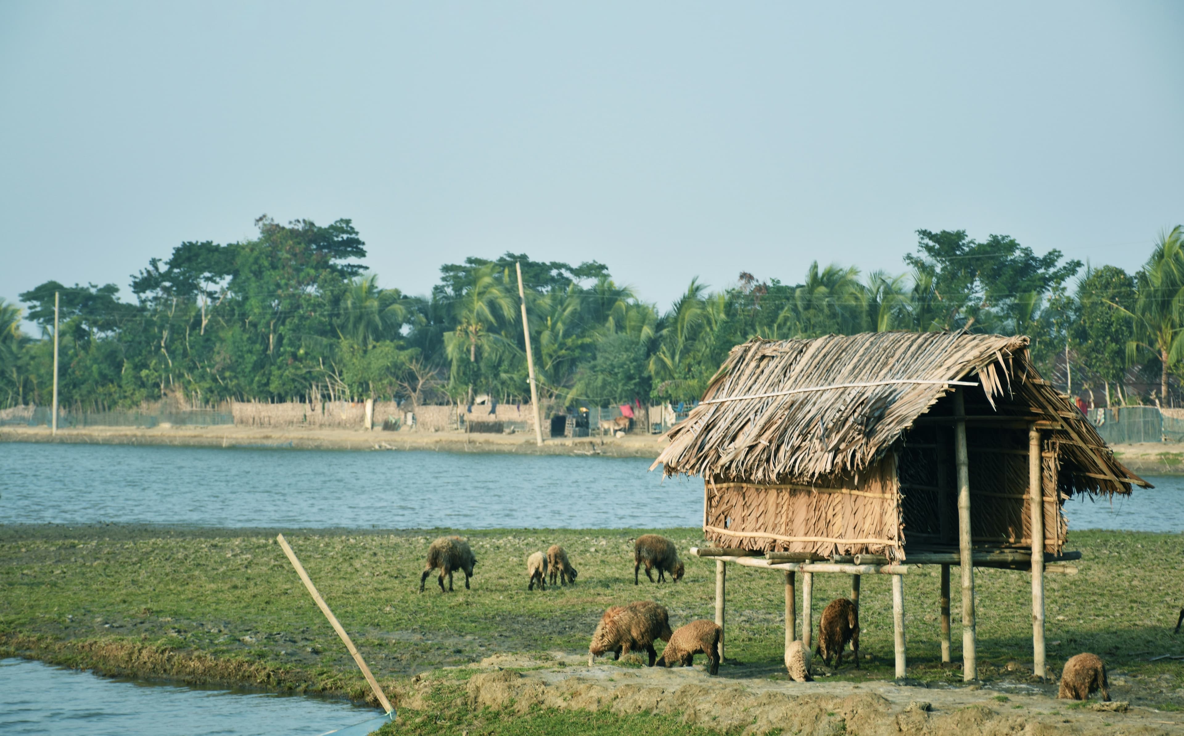 Batwa-Pygmäen in Uganda