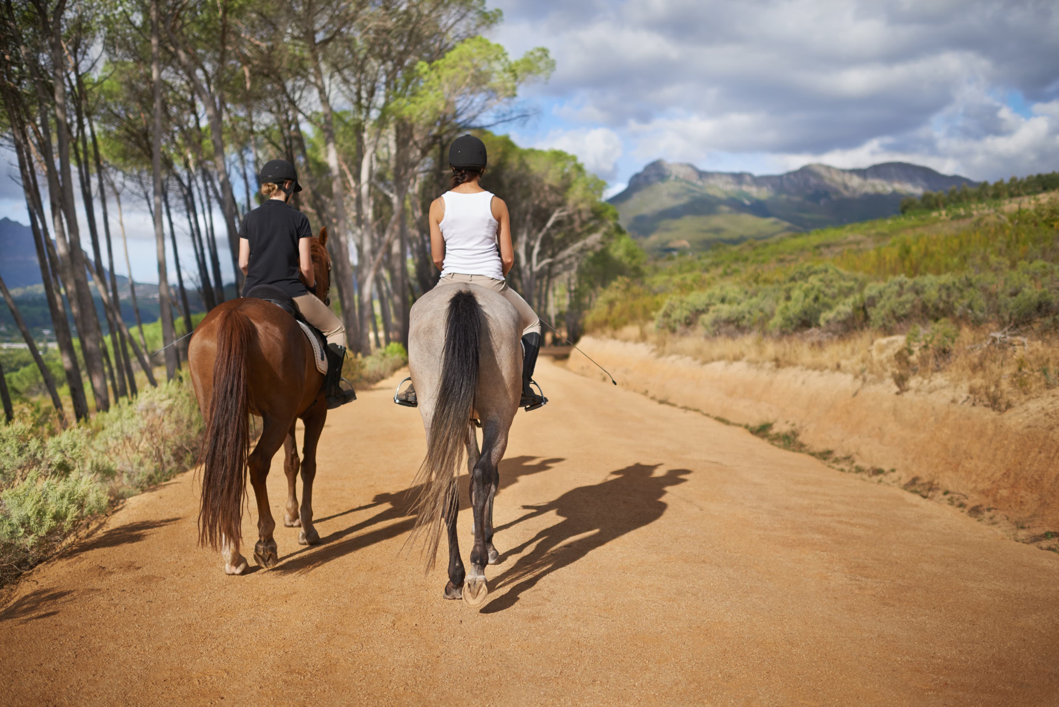 Reiten im Lake Mburo Nationalpark