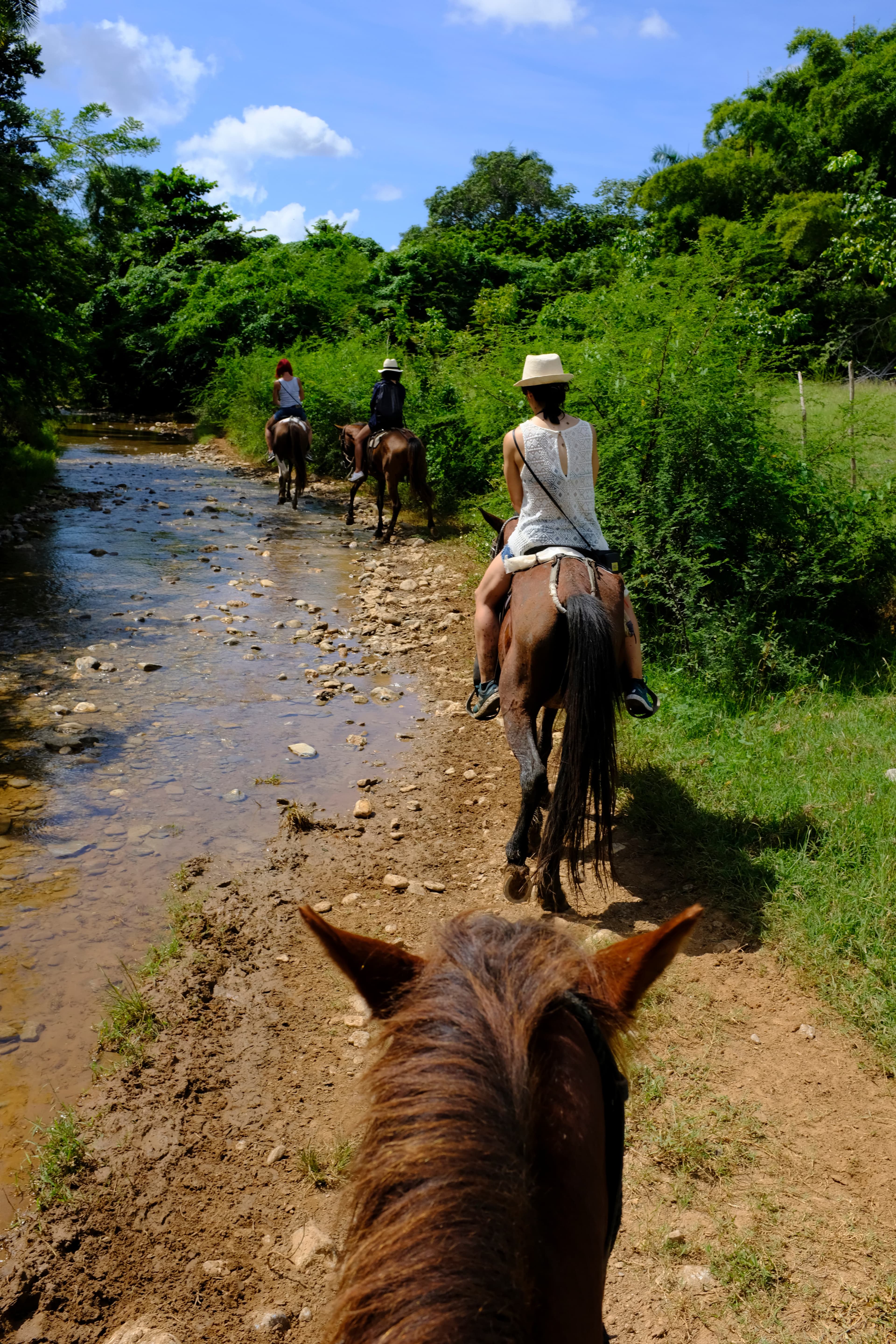 Reiten im Lake Mburo Nationalpark