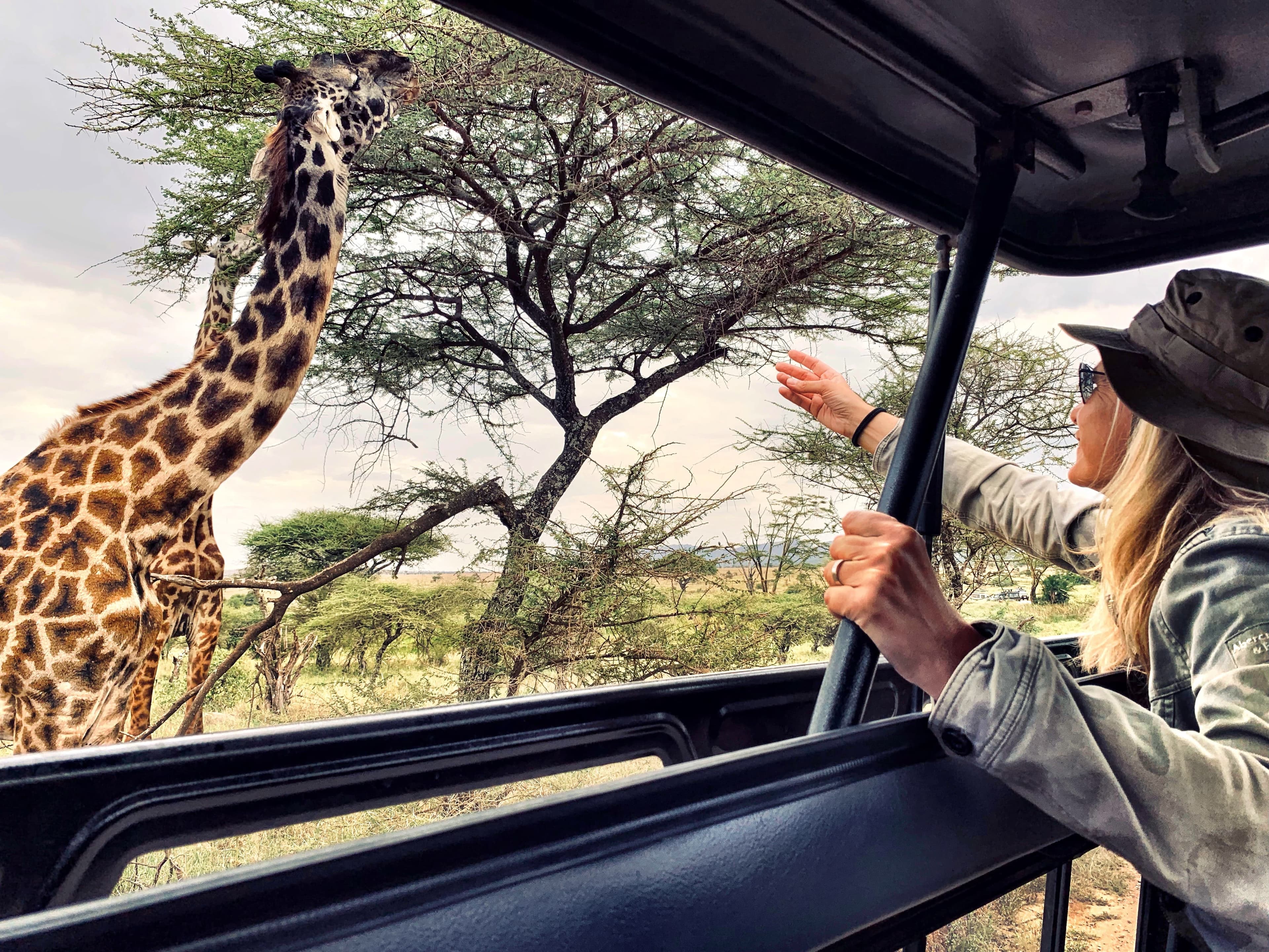 Safari Game Drive im Queen Elizabeth Nationalpark